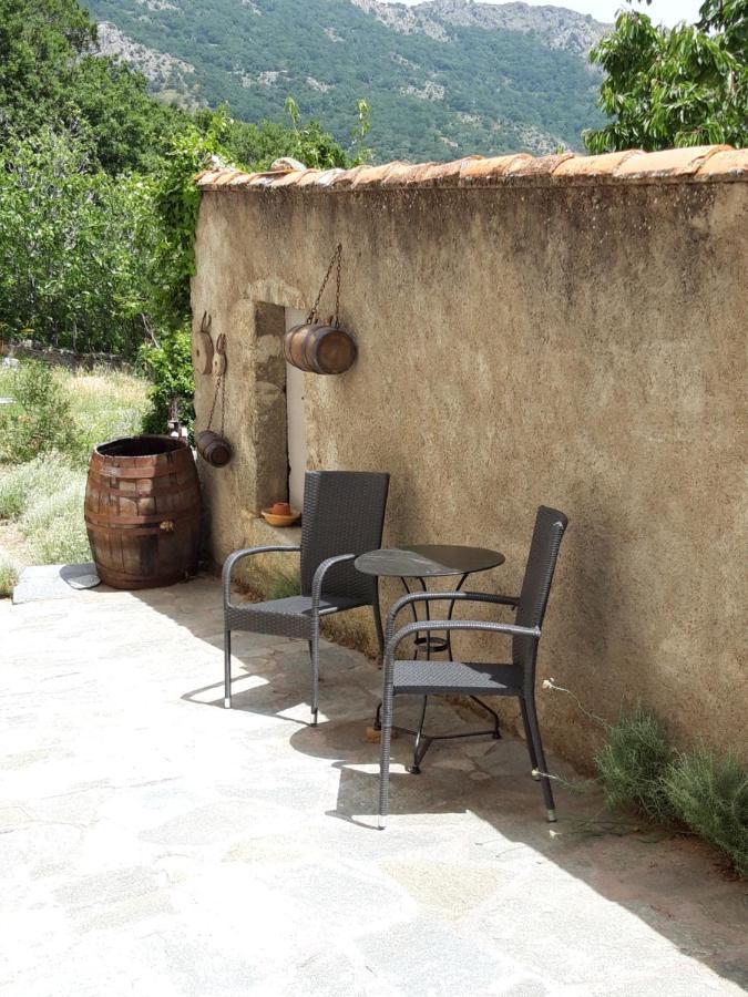 Casa Franceschi Acomodação com café da manhã Pioggiola Exterior foto